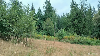 12400 212th St NE, Arlington, WA 98223 - photo 3