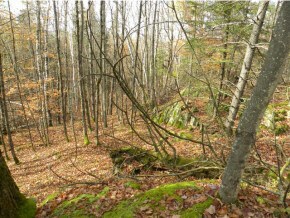 Lot #4 Spaulding Rd, Saint Johnsbury, VT 05819 - photo 3