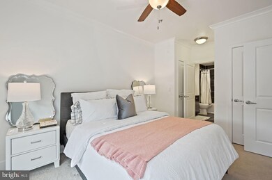 815 N Patrick St unit 203, Alexandria, VA 22314 - photo 7