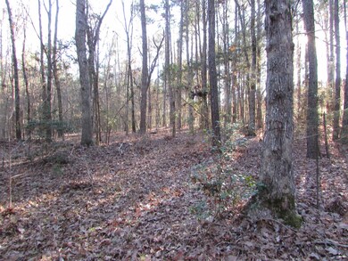 Lot 3 Lutterloh Rd, Pittsboro, NC 27312 - photo 2