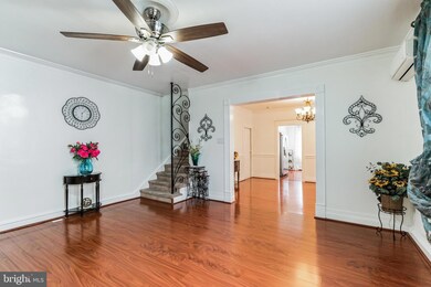 3812 Albemarle Ave, Drexel Hill, PA 19026 - photo 4