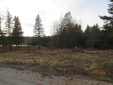 Lot 2 Smalls Point Rd, MacHiasport, ME 04655 - photo 3