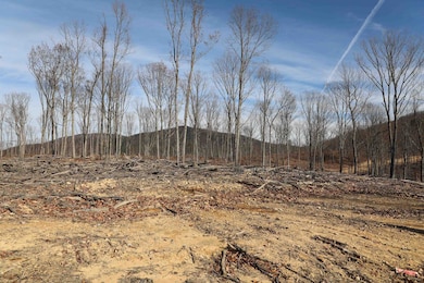 tbd1 Calf Mountain Rd, Waynesboro, VA 22980 - photo 7