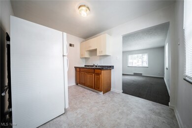 21250 Crystal Ave, Euclid, OH 44123 - photo 3