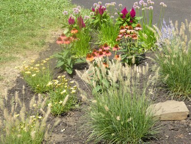 Front flowers