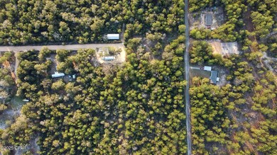 0 Derby Dr unit 777218, Chipley, FL 32428 - photo 4