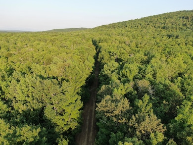 M8L4 Mountain Rd, Mount Chase, ME 04765 - photo 4