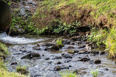 225 Cohutta Ranch Rd, Blue Ridge, GA 30513 - photo 3