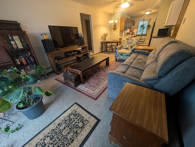 82 S Maple St unit 33, Westfield, MA 01085 - photo 6