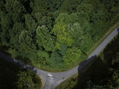 0 Tuckasegee Overlook Rd unit 26037540, Charleston, NC 28713 - photo 5