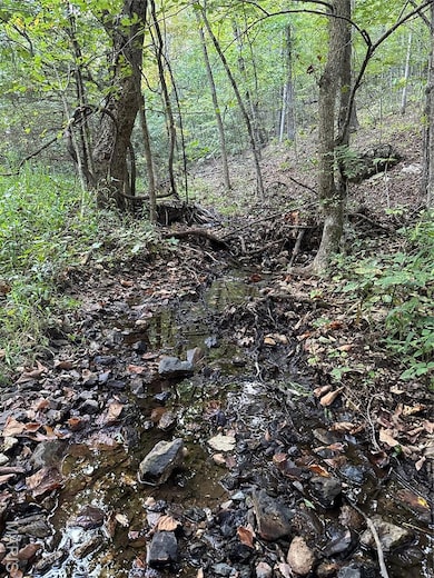 TDB Upper Janes Creek Raod, Ravenden, AR 72459 - photo 2