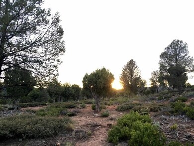 8 S Palomino Dr, Payson, AZ 85541 - photo 4