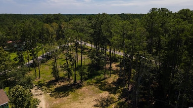 3598 Steamer Trace Rd, Conway, SC 29527 - photo 6