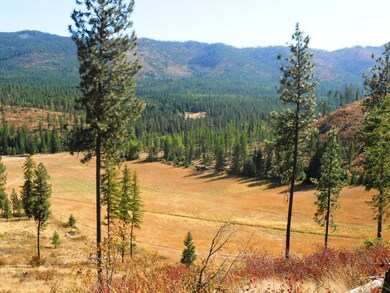 Another view