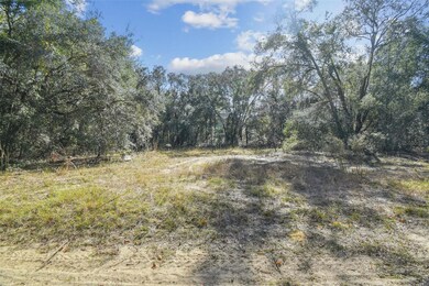 2903 Tyler St, Inverness, FL 34453 - photo 4