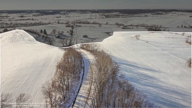 TBD E Hairpin Rd, Stockton, IL 61085 - photo 4