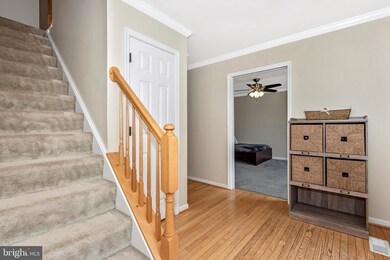 723 Brunswick St, Brunswick, MD 21716 - photo 6