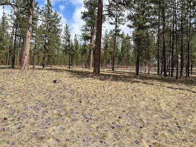 31760 Hwy 10 W, Alberton, MT 59820 - photo 3