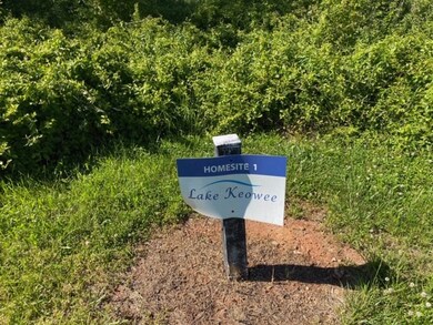 Lot 1 Hidden Falls Dr unit Lot 1, West Union, SC 29696 - photo 4