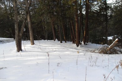 139 Taylor Ln, Sweet Valley, PA 18656 - photo 2