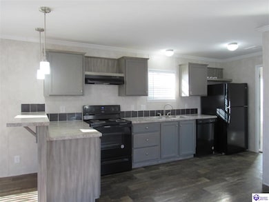 71 Rail Fence Loop, Elizabethtown, KY 42701 - photo 3