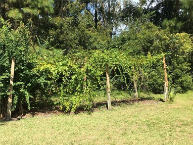 1056 Bob Wagner Ln SE, Darien, GA 31305 - photo 6