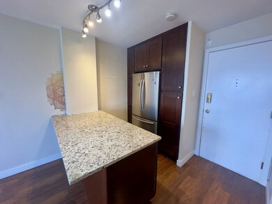 4180 N Marine Dr unit 1610, Chicago, IL 60613 - photo 6