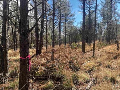 0 Summer Dr unit 171889, Timberon, NM 88350 - photo 3