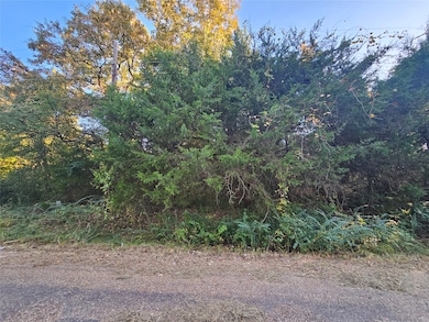 TBD Rush Rd, Mabank, TX 75156 - photo 2