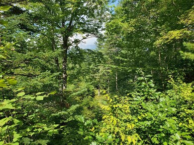 72 Effingham Rd, Ossipee, NH 03864 - photo 6