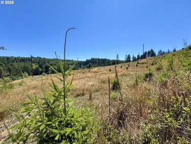 00000 Trail Ln unit 1406, Coosbay, OR 97420 - photo 7