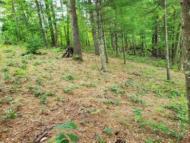 0 68th St unit 23031030, Idlewild, MI 49642 - photo 4