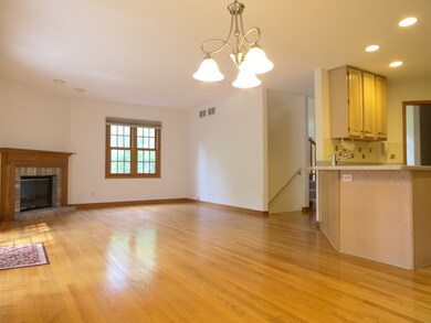 261 N Water St, Batavia, IL 60510 - photo 4