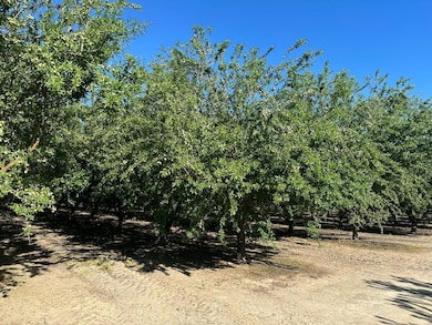 0 Nec Chestnut & Mountain View Ave unit 613340, Selma, CA 93662 - photo 5