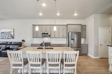 12541 Lake View St, Longmont, CO 80504 - photo 5