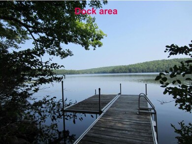 124 Walker Pond Rd, Webster, NH 03303 - photo 3