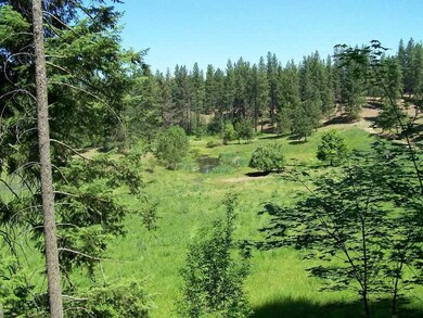 15901 N Freya St, Mead, WA 99021 - photo 4