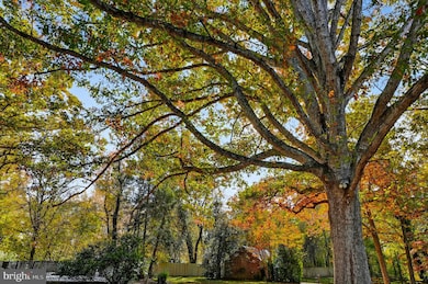 385 Mill Swamp Rd, Edgewater, MD 21037 - photo 4