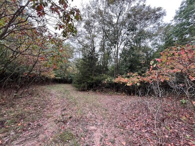 0 65th St, Holland, MI 49423 - photo 7