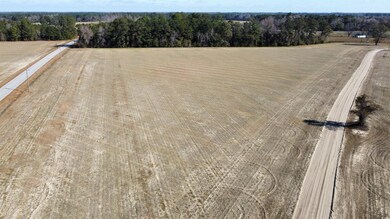 TBD Shelley Ln, Nichols, SC 29581 - photo 6