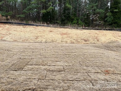 back yard  wooded behind for privacy