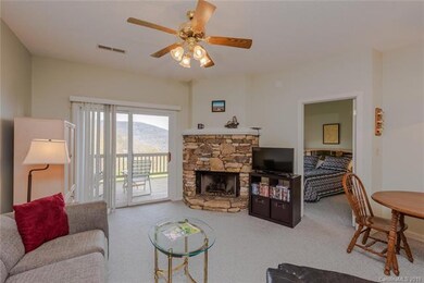 2521 Wolf Laurel Rd unit 106, Mars Hill, NC 28754 - photo 7