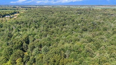 DJI_0496