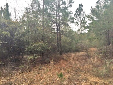 Hwy 85N 04
