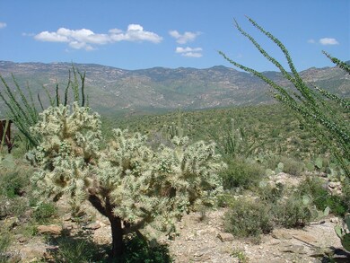 7301 S Red Hill Rd unit 84, Vail, AZ 85641 - photo 2
