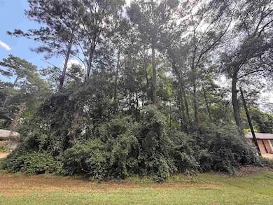 0000 Wildwood Dr unit Hemlock St., Village Mills, TX 77663 - photo 3