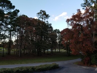 20181205_163335 (1)