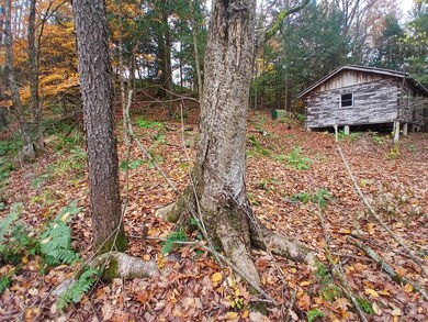 5 E Wilder Rd, West Lebanon, NH 03784 - photo 7