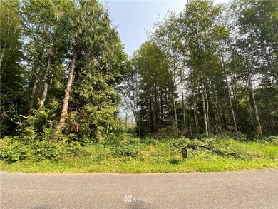 unlisted-address, Arlington, WA 98223 - photo 3