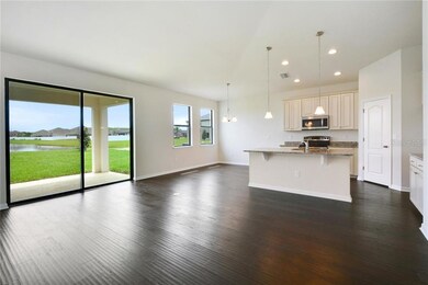 10142 Hawks Landing Dr, Land O Lakes, FL 34638 - photo 4